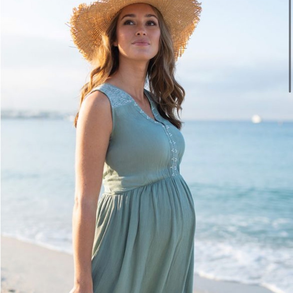 Seraphine NWT Sage Maternity and Nursing Dress